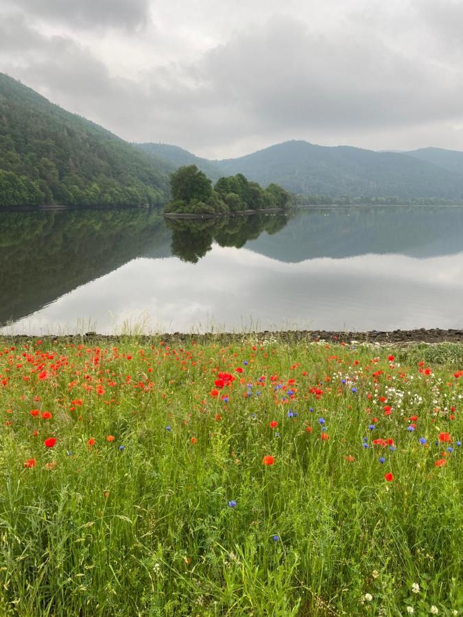 Fewo Seeresidenz Auf Scheid Waldeck  Exteriér fotografie